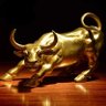 Trevor Boland's profile picture