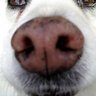 seromoca profil fotoğrafı