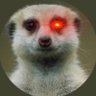 Фото профиля Meerkat (Maxi Whisperer)