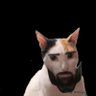 Profilbild von JRUnite