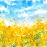 やっこ 的头像