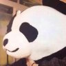 むらさきぱんだ's profile picture
