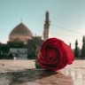 ياقوتة 的头像