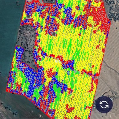 cropscan's profile picture