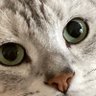 るーしゃん profil fotoğrafı