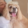 TGMaceda74's profile picture