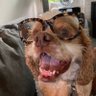 Profilbild von Vicky Beach