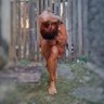 Фото профиля Maninha Rego