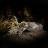 Dragon Dorset๐ฆ๐ฆฉ๐ฆ๐ฆ๐ฆ๐ง๐ฅ๐ค๐ฃ๐ฆ๐๐ฆ๐ฆ
๐ฆ๐ฆ profil fotoฤrafฤฑ