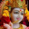 Senu Chaubey(Hindu)'s profile picture