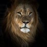 श्रीकृष्ण हिन्दू अग्नि वीर profil fotoğrafı