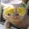 Vapid's profile picture