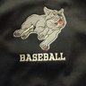 Profilbild von Bunker Hill C.C. Baseball