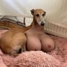 Dona Maria Metafórica 的头像