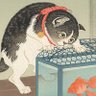 Фото профиля さび猫は小心者