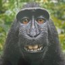 Profilbild von Rui Zhang