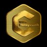 Satoshi⚡️CORE 🔶⛓️'s profile picture