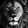 King 的头像