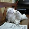 MMasuda20 profil fotoğrafı