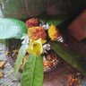 ଉତ୍କଳ ଜନନୀ 🇮🇳 的头像