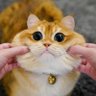 Chien Than's profile picture