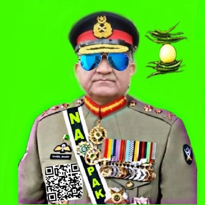 Zenral Bazwa (Halal E Pakistan)'s profile picture