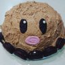 しめじ きのこ's profile picture