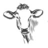 Holy Cow AMFI Registered 的头像