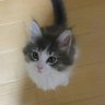 T K's profile picture
