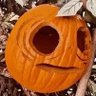 Фото профиля Everyday is Halloween