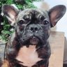водитель's profile picture