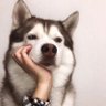 Profilbild von Love, Dayo❤️