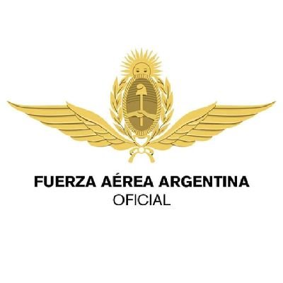 FuerzaAerea_Arg's profile picture