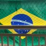 Carla Uerlings 🇧🇷 profil fotoğrafı