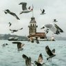Nesime İltaş 的头像