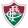 Letras Flu poesia Tricolor 🇭🇺 的头像