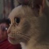 olesenteu's profile picture