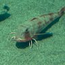 Фото профиля 水族館に住みたい