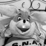 Ane's profile picture