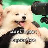 นู๋ชื่อเยรินหุงข้าวเก่งมาก call me ไม้ถู 的头像