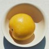 little orange 的头像
