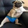 💎 profil fotoğrafı