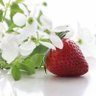 Profilbild von strawberry flower🍓🌸