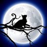 憂 🐾🛌 profil fotoğrafı