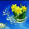 Фото профиля شاهين نوري