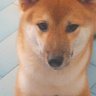 Hero@101120's profile picture