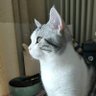 老李 profil fotoğrafı