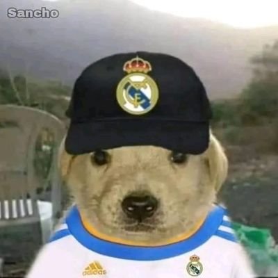 Jmarcelo_mvp's profile picture