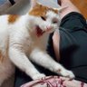 kiki's profile picture