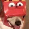Profilbild von Bunger